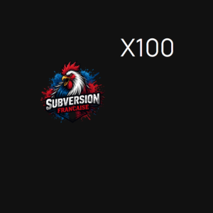 Votre profil politique personnalisé x100