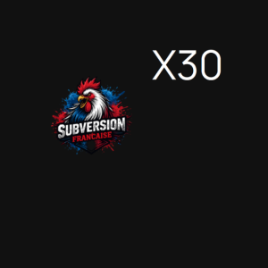 Votre profil politique personnalisé x30