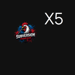 Votre profil politique personnalisé x5